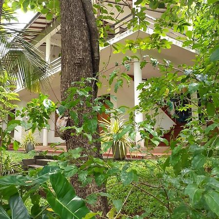 Yonara Green Rest Habarana Buitenkant foto