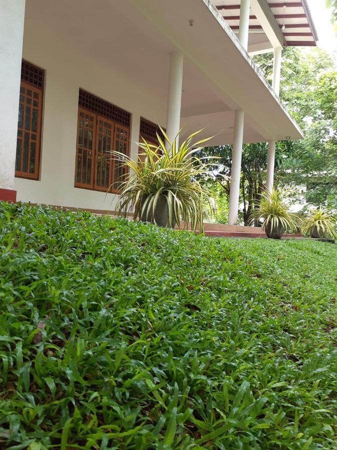Yonara Green Rest Habarana Buitenkant foto