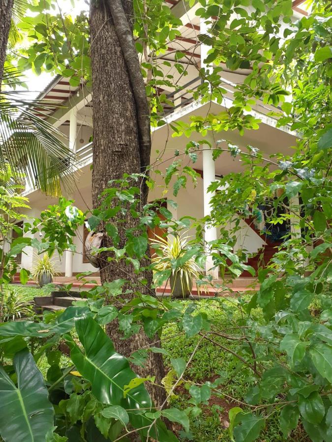 Yonara Green Rest Habarana Buitenkant foto