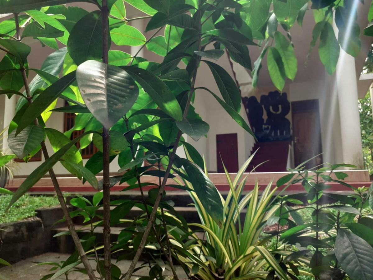 Yonara Green Rest Habarana Buitenkant foto