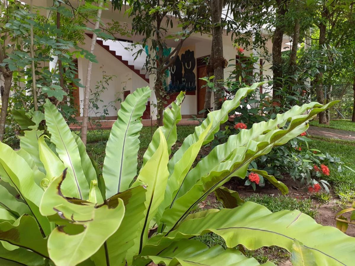 Yonara Green Rest Habarana Buitenkant foto