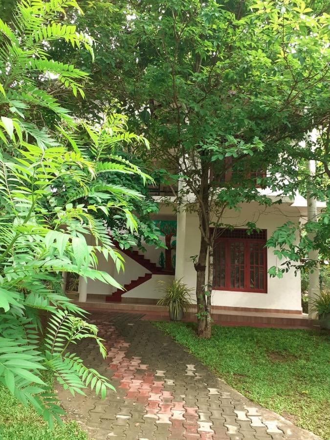Yonara Green Rest Habarana Buitenkant foto